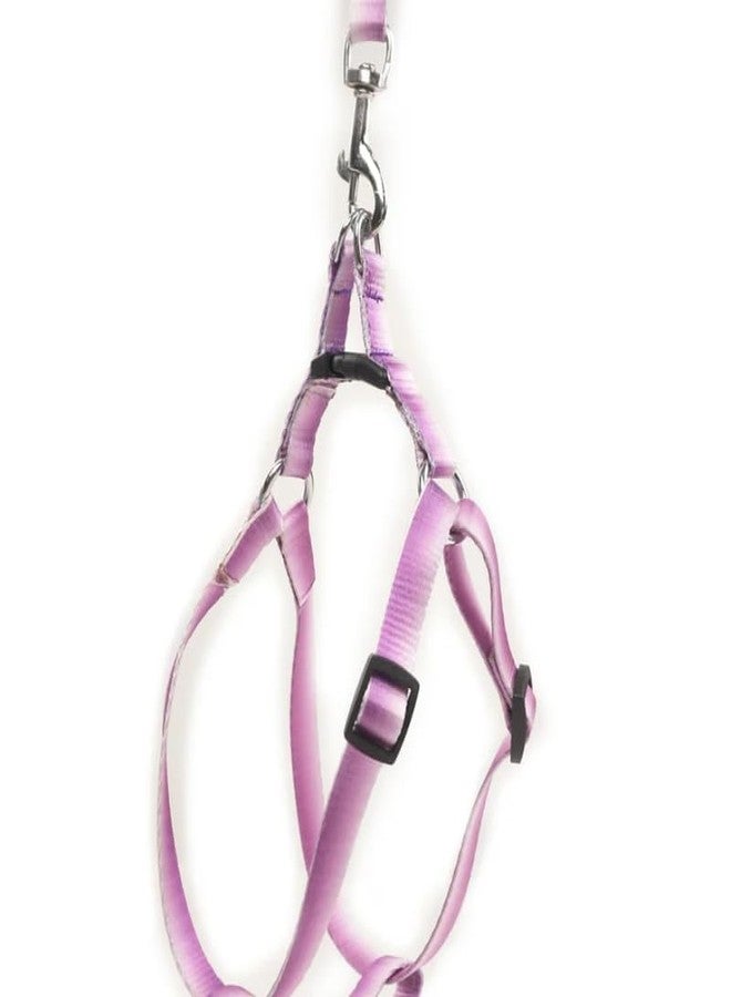 KittuPet Dream Walk No-Pull Dog Harness- Adjustable, Comfortable, Easy to Use Pet Halter to Help Stop Pulling for Small, Medium and Large Dogs (Pink) - Image 1
